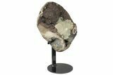 Quartz/Amethyst Geode with Calcite Crystals on Metal Stand #199666-1